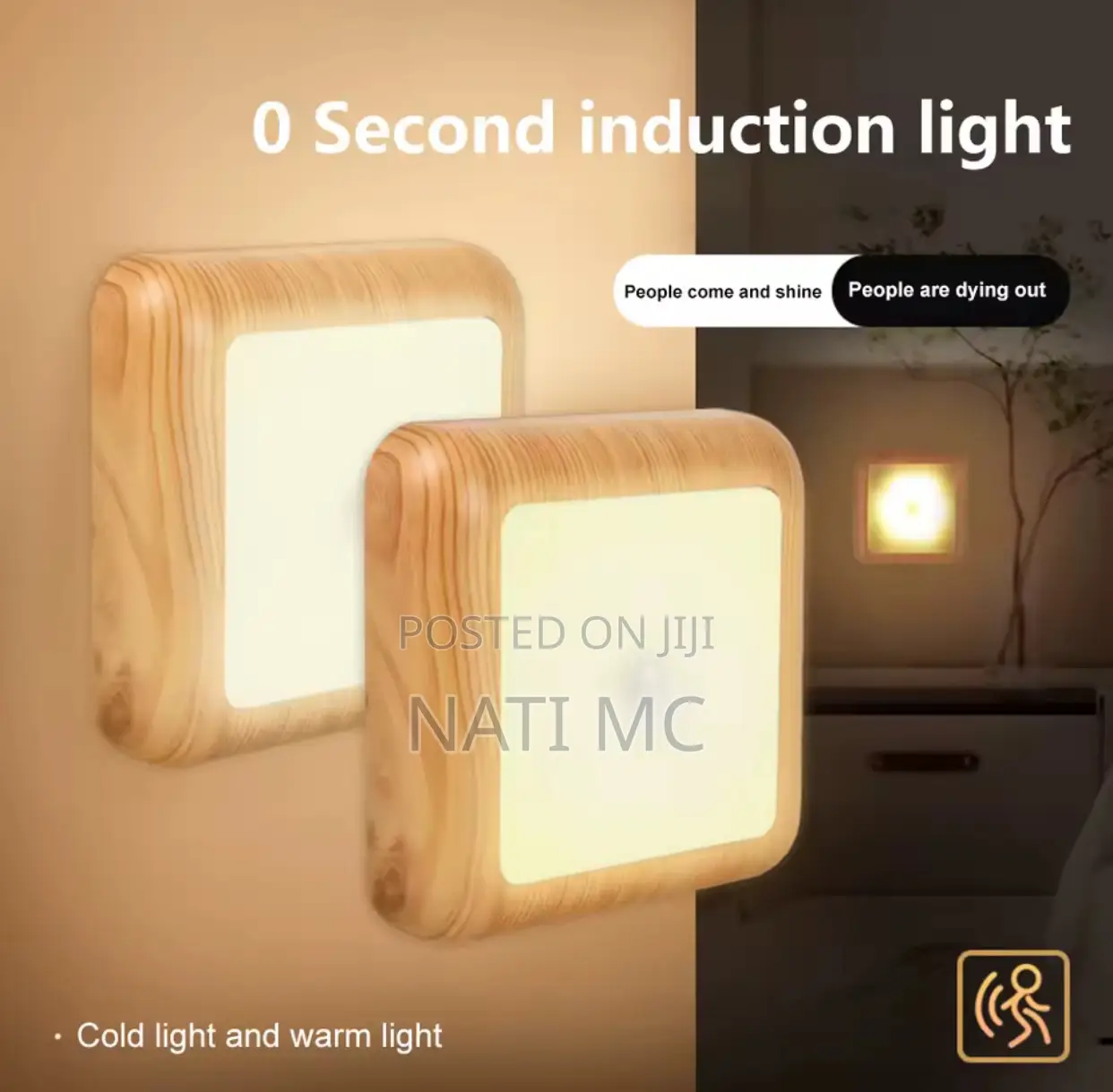 Motion Sensor Led Night Light