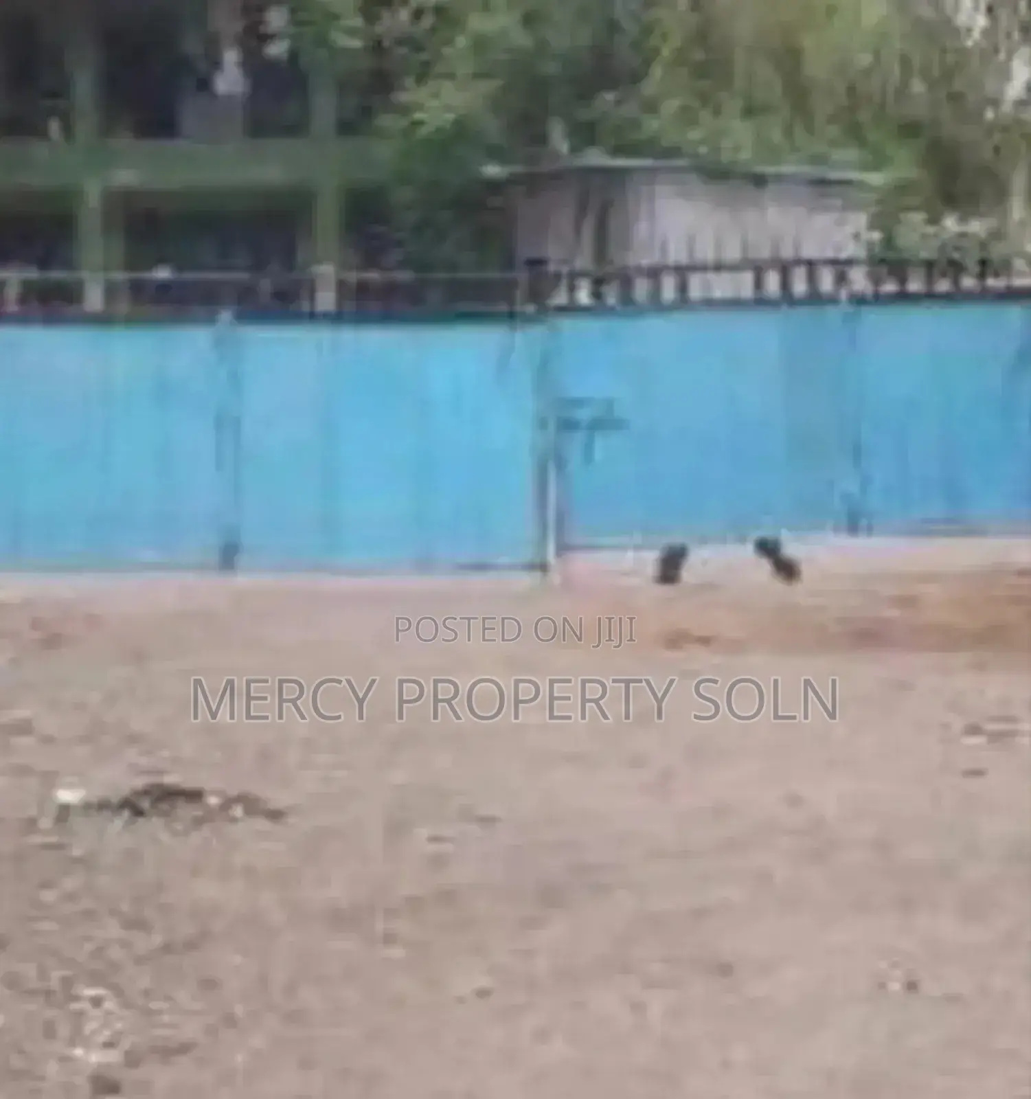 Warehouse for Rent መጋዘን ኪራይ