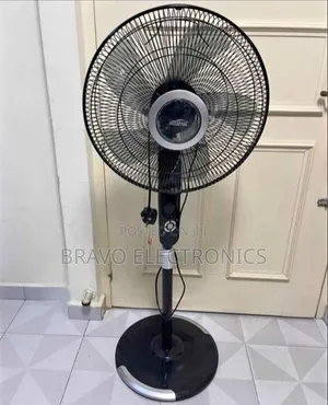 Fan With Stand