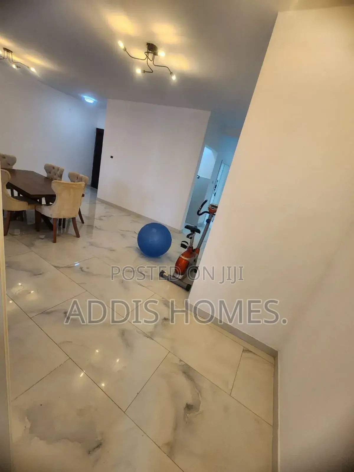 Furnished 3bdrm Apartment in Bole for rent