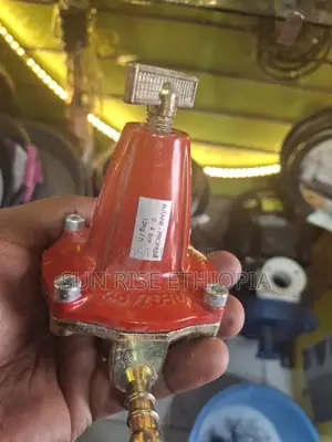 High Pressure Regulator Made in Italy 12 Kg/Hr