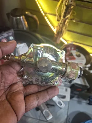 High Pressure Regulator Made in Italy 12 Kg/Hr