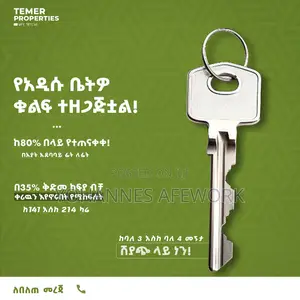 2bdrm Apartment in Temer Real Estate, Lideta for sale