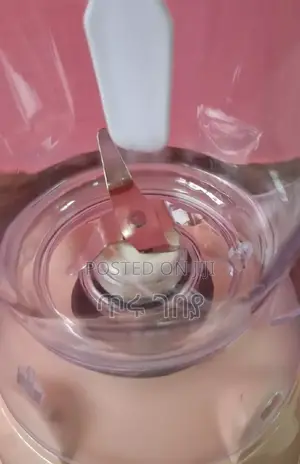 Mixdor 2 in 1 Blender