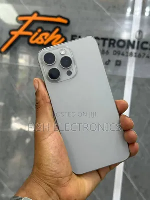 Apple iPhone 15 Pro Max 256 GB Gray