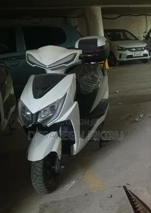 Photo - New EGL 2024 Gray