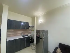 Furnished 1bdrm Apartment in Bole for rent