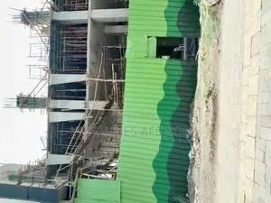 ፒያሳ ላይ የንግድ ሱቆችን ሽያጭ ልናጠናቅቅ ነው