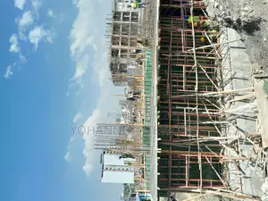 ፒያሳ ላይ የንግድ ሱቆችን ሽያጭ ልናጠናቅቅ ነው