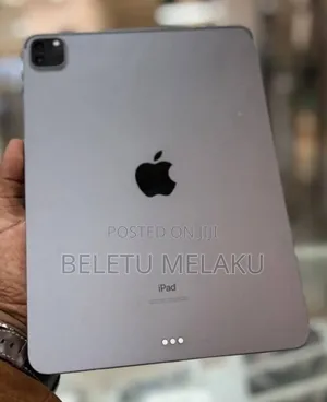 New Apple iPad Pro 256 GB Gray