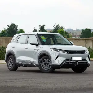 Photo - New BYD Yuan Up 2024 White