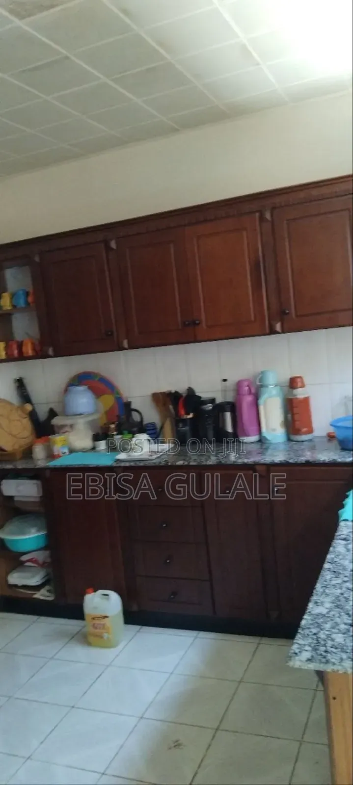 Furnished 4bdrm Farm House in Robak, Oromia-Finfinne for sale