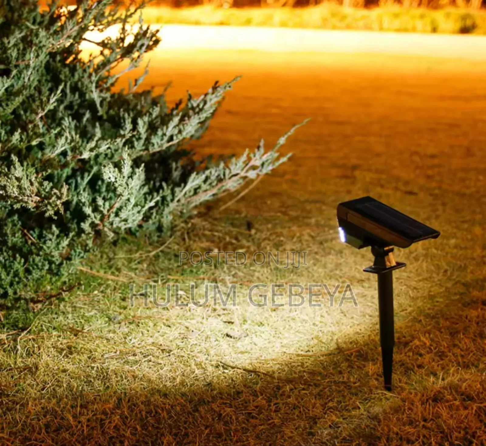 Solar Monitaring Lamp