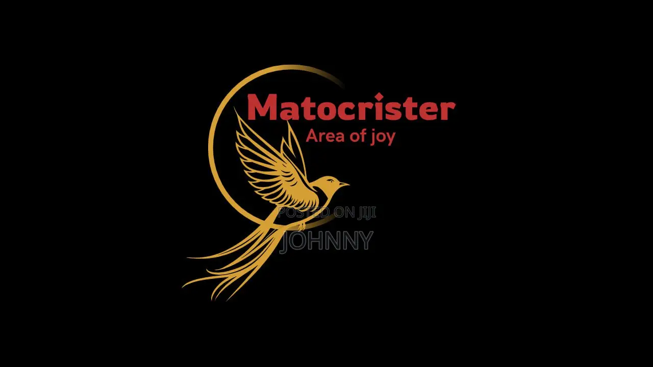 Logo Designer, Youtube Thumbnail, Business Card, Flyers