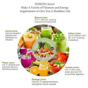 2 in 1 Sonifer Juicer