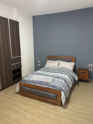 Photo - Furnished 3bdrm Apartment in Bole for rent