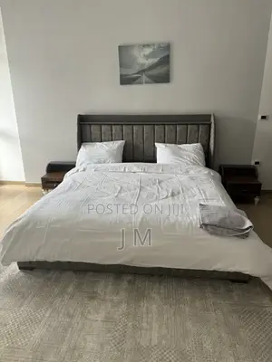 Furnished 3bdrm Apartment in Bole for rent