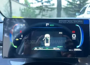 New BYD E2 43 kWh 94 hp FWD 2024 Silver