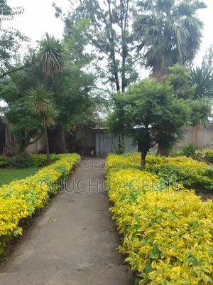 Photo - 3bdrm House in Bole for sale