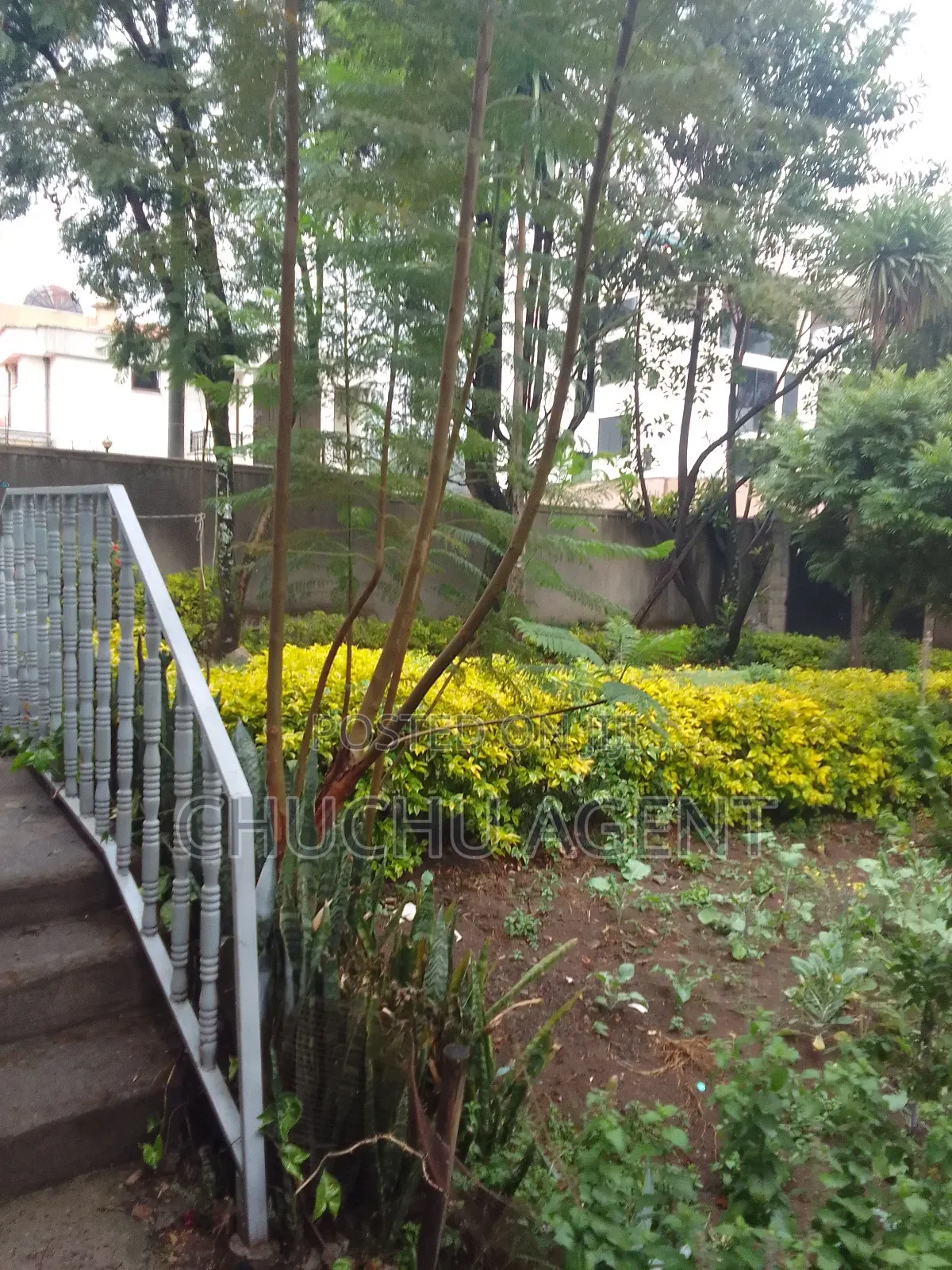 3bdrm House in Bole for sale