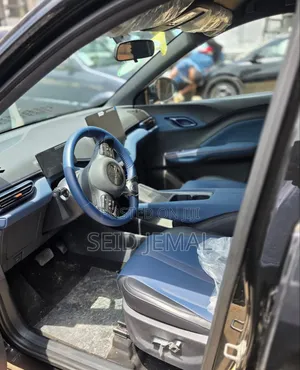 New BYD Seagull 2024 Black