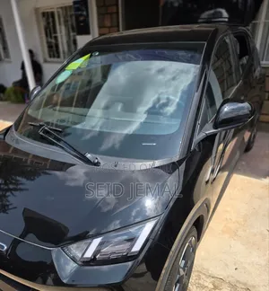Photo - New BYD Seagull 2024 Black