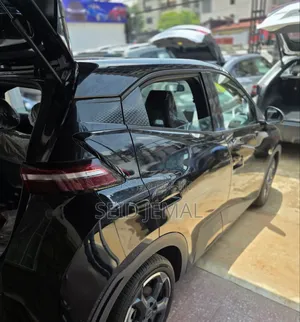 New BYD Seagull 2024 Black