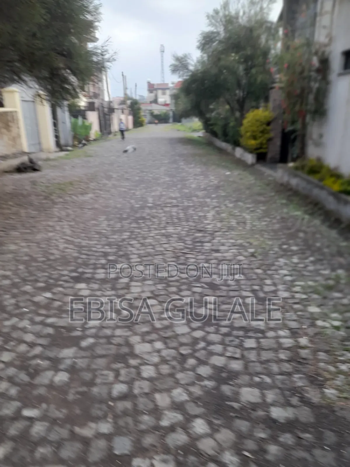 Furnished 4bdrm House in Oromia-Finfinne for rent
