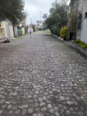 Furnished 4bdrm House in Oromia-Finfinne for rent
