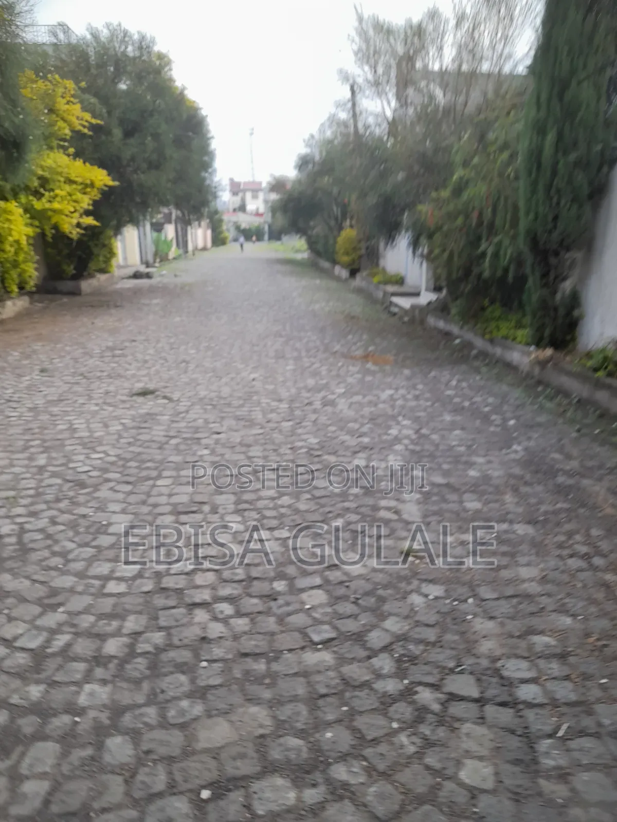 Furnished 4bdrm House in Oromia-Finfinne for rent