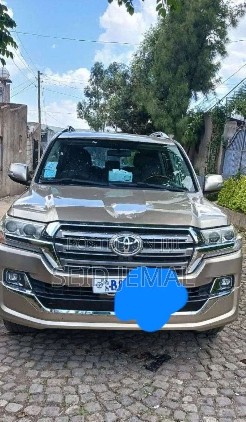 Toyota Land Cruiser 2008 Gold