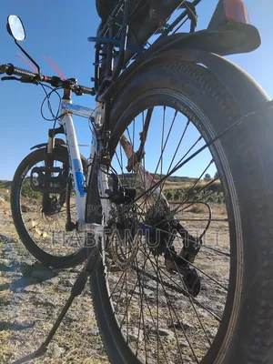 Photo - Phoenix Bycle