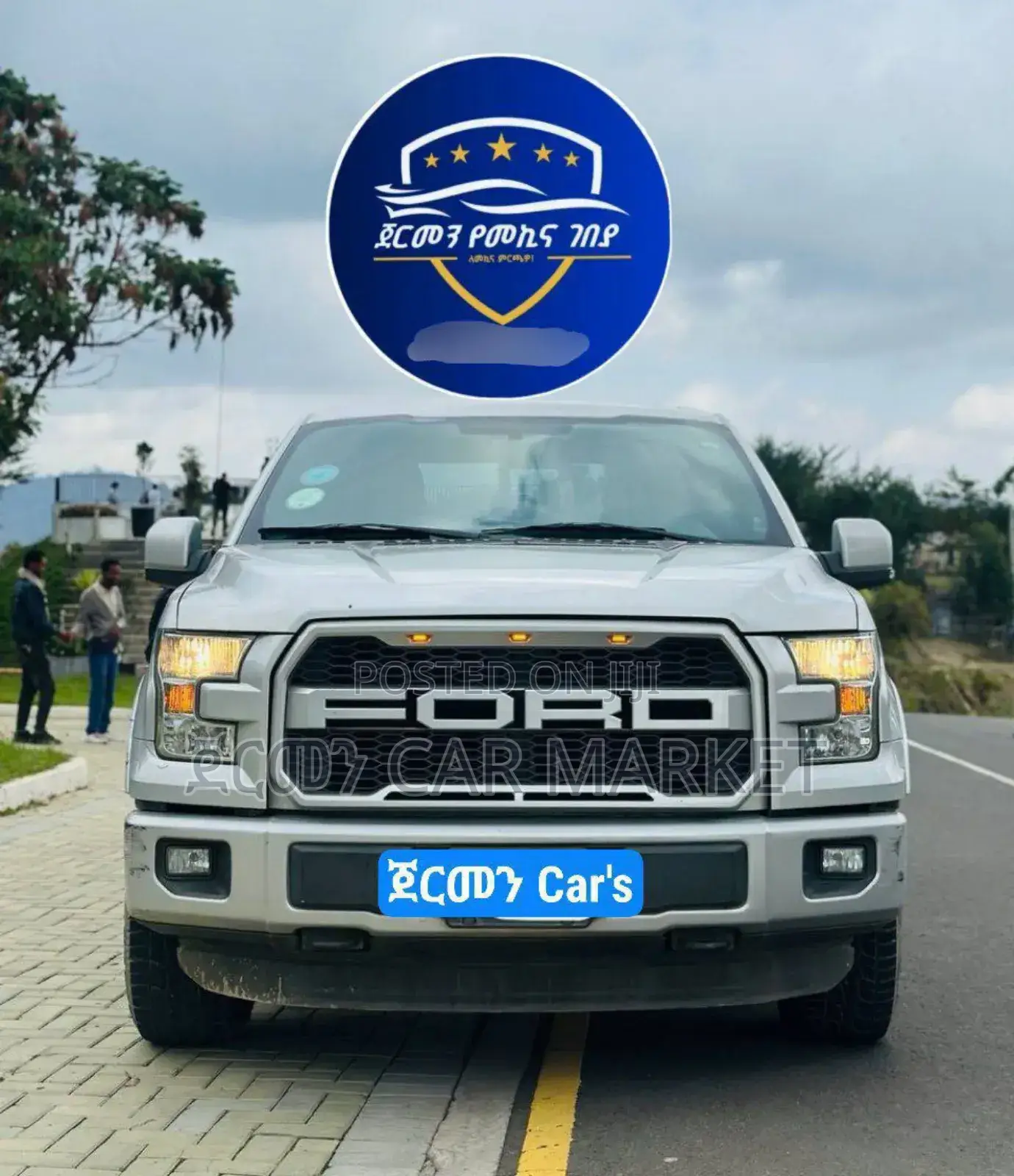 Ford F-150 2017 Silver