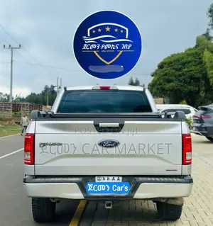 Ford F-150 2017 Silver