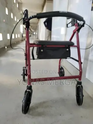 Photo - Walking Stick, 4 Wheel Rolling Walker