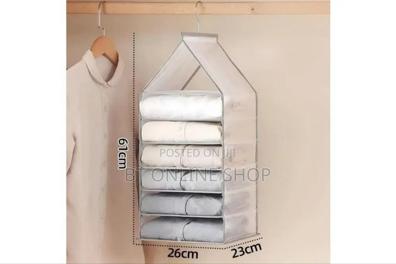 Hanging Storage Bag Cabinet Organizer - 6 Cells