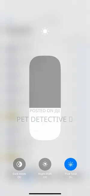 New Apple iPhone 12 Pro Max 256 GB Silver