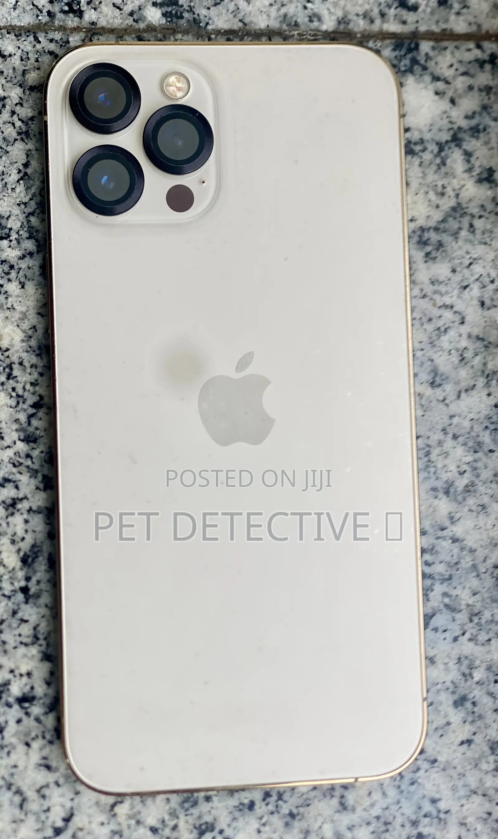 New Apple iPhone 12 Pro Max 256 GB Silver