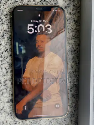 New Apple iPhone 12 Pro Max 256 GB Silver