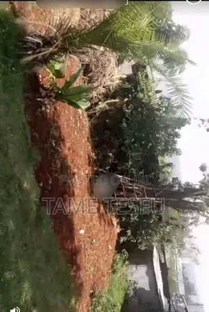 2bdrm House in Wosene Abm, Bole for sale