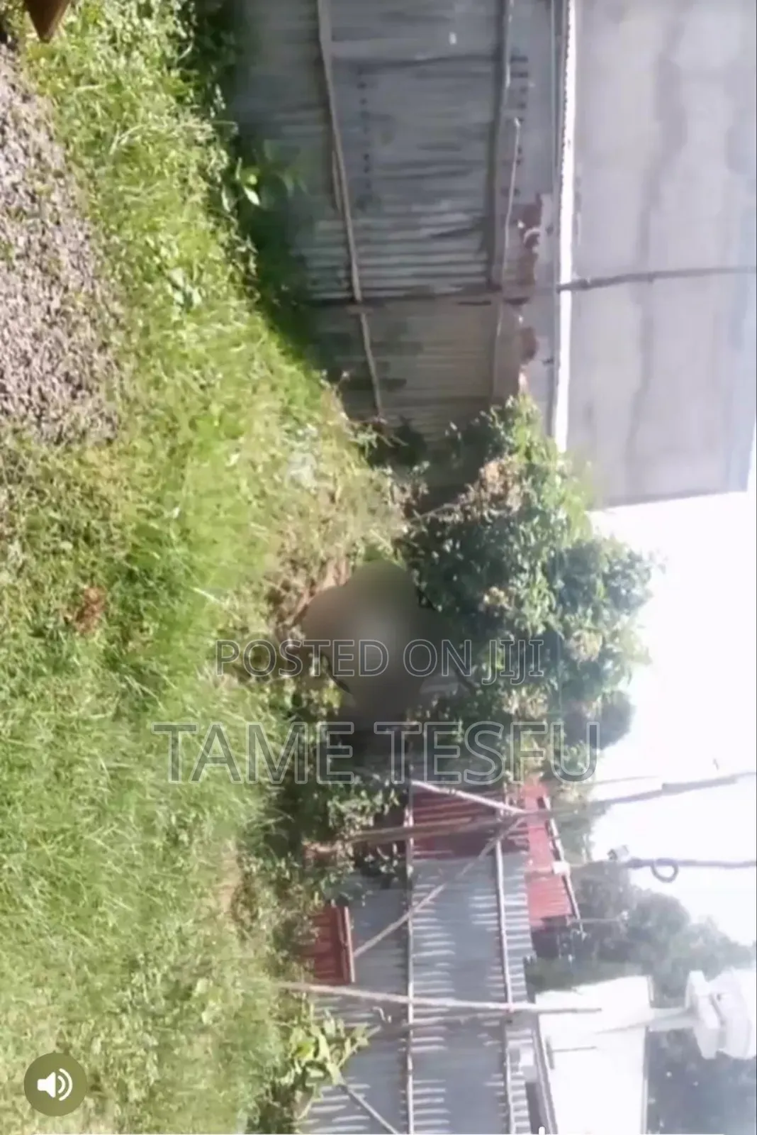 2bdrm House in Wosene Abm, Bole for sale