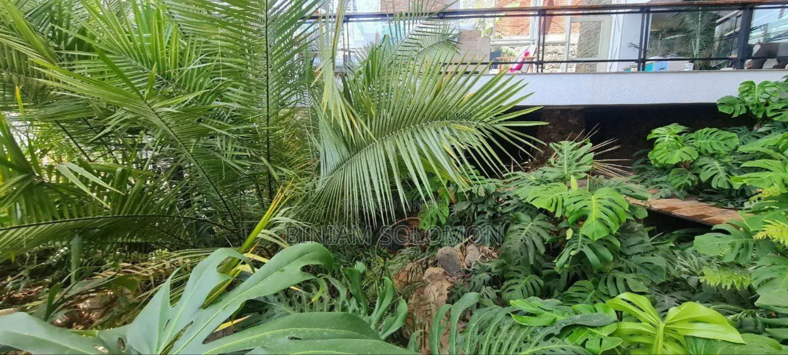 Furnished 5bdrm Villa in Bole for rent