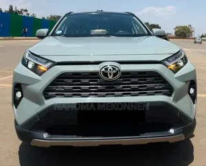 Toyota RAV4 Hybrid 2024