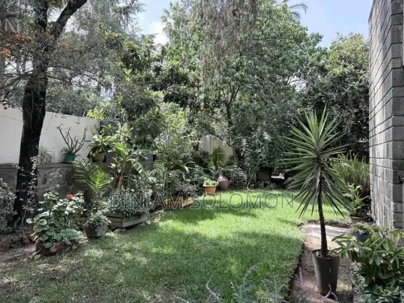 Furnished 3bdrm Villa in Bole for rent