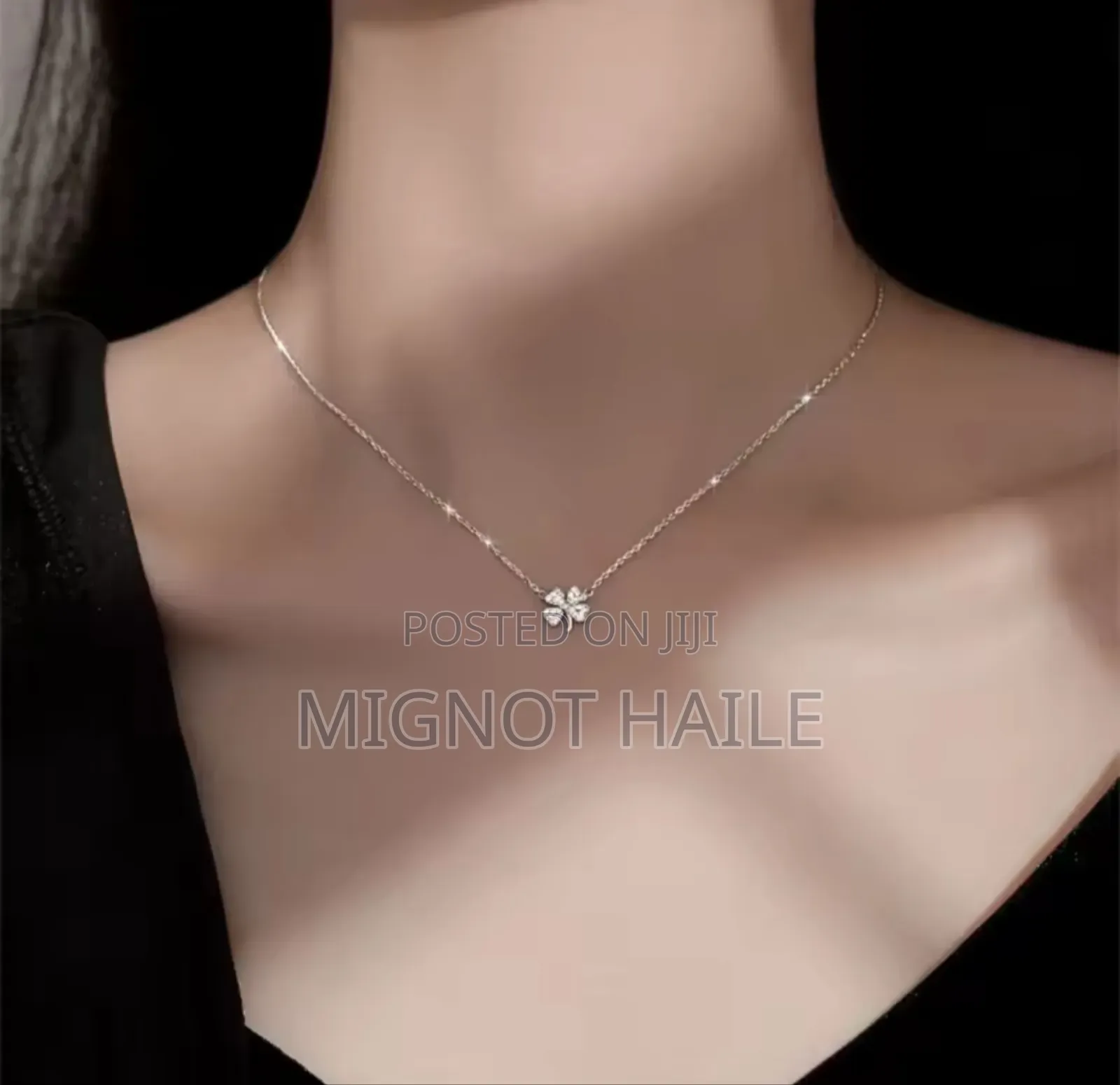 Hair Clip And Necklace