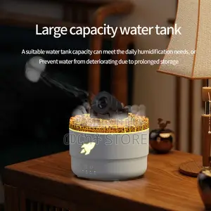 Cannon Aromatherapy Humidifier