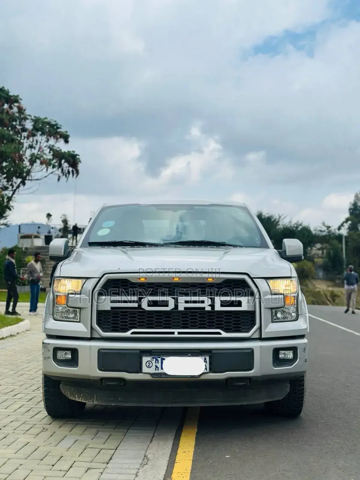 Ford F-150 2015 Silver