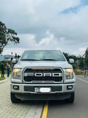Ford F-150 2015 Silver