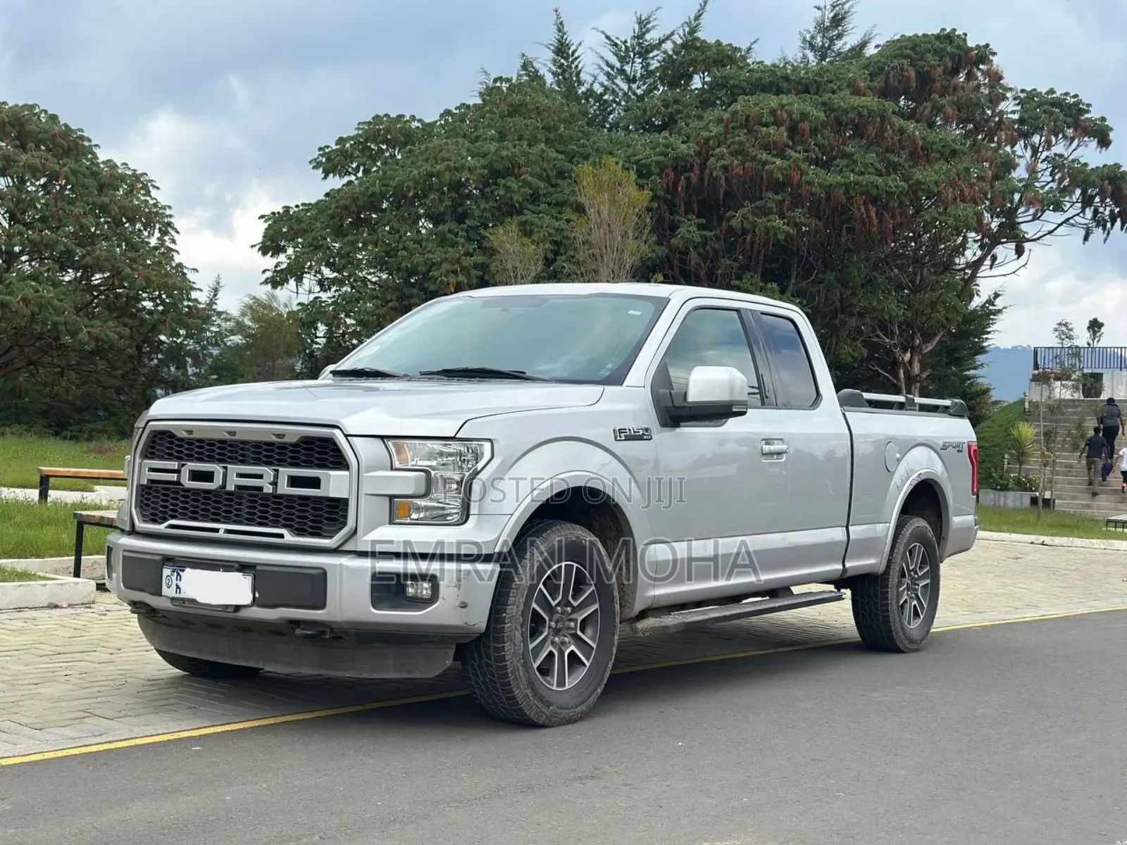 Ford F-150 2015 Silver