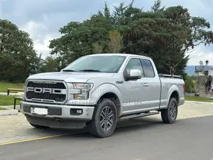 Ford F-150 2015 Silver